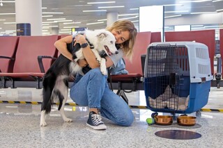 Comment s'expatrier en Europe avec un animal de compagnie ?