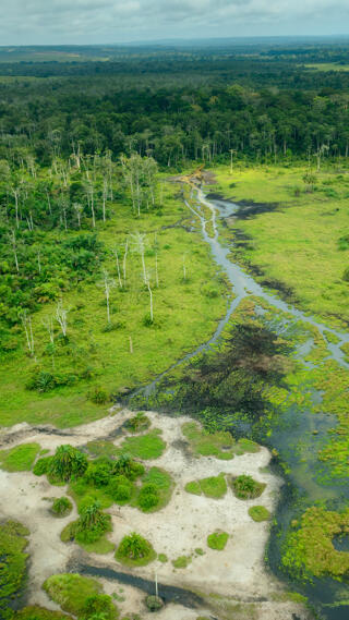 Health Insurance in Republic of Congo