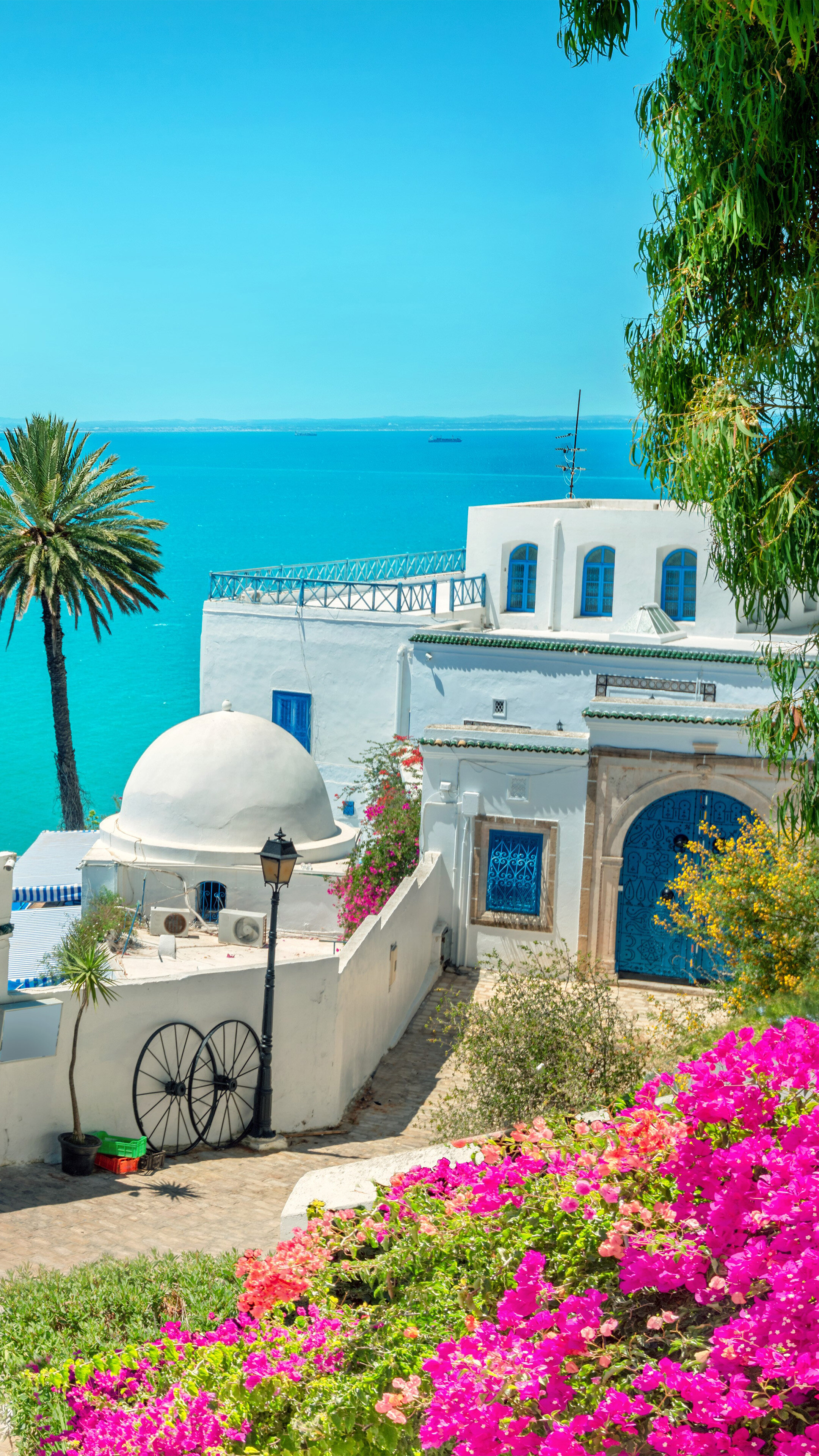 Health Insurance in Tunisia