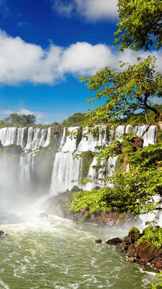 El seguro médico en América