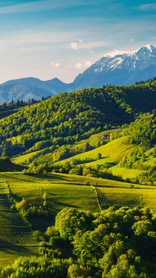 Health insurance in Europe