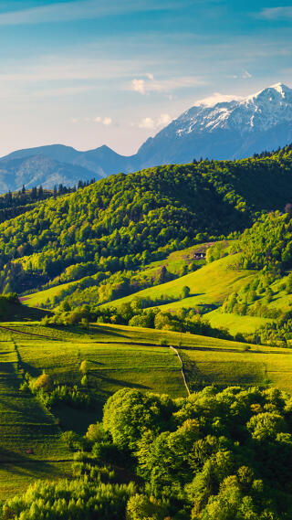 Health insurance in Europe