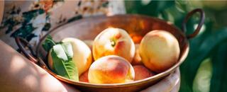 Le wwoofing : voyager autrement