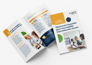 Whitepaper: Alle wichtigen Informationen für eine erfolgreiche internationale Mobilität - Mock-up