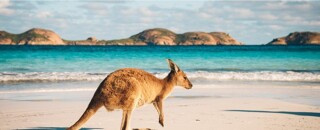 Assurance santé PVT en Australie