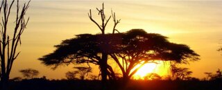 Voyager dans un pays exposé au risque de paludisme