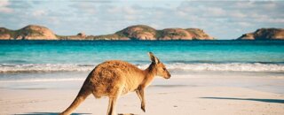 Working Holiday Programme (WHP) in Australia