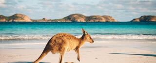 Working Holiday Programme (WHP) in Australia