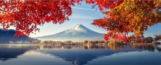 Working Holiday Programme (WHP) in Japan