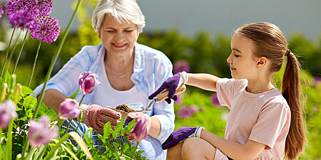 activites-gratuites-retraite-idees.jpg