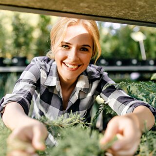 Accidents de jardinage