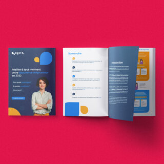 Télécharger le livre blanc loi Lemoine par APRIL