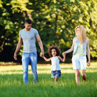 Plan national de lutte contre la maladie de Lyme