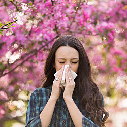Traitement allergies respiratoires