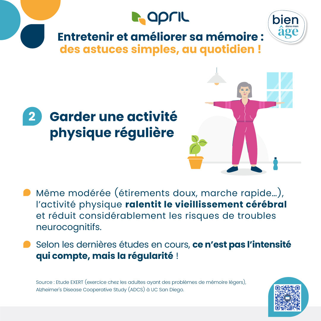 Infographie