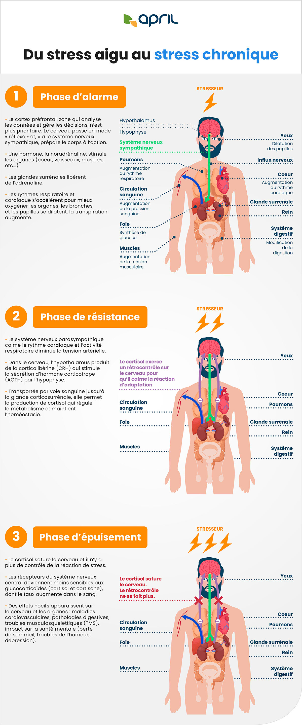 Infographie - Fondation APRIL, Santé, Des stress et moi (2015)